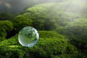 medio ambiente